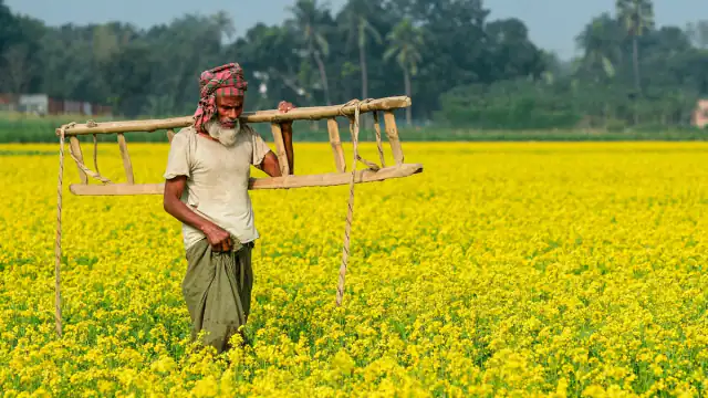 Kisan Samman Nidhi: साढ़े आठ हजार से ज्यादा किसानों को इनकम टैक्स ने भेजा रिकवरी नोटिस, जानें मामला