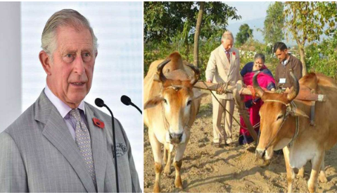 ब्रिटेन के नए राजा Prince Charles की वजह से आम से खास बन गए थे उत्‍तराखंड के लालू और भूरा