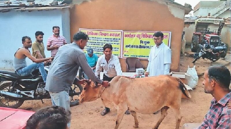 लंपी वायरस ने बढ़ाई राज्य सरकार की चिंता, चार दिनों में तीन हजार से अधिक मामले आए सामने