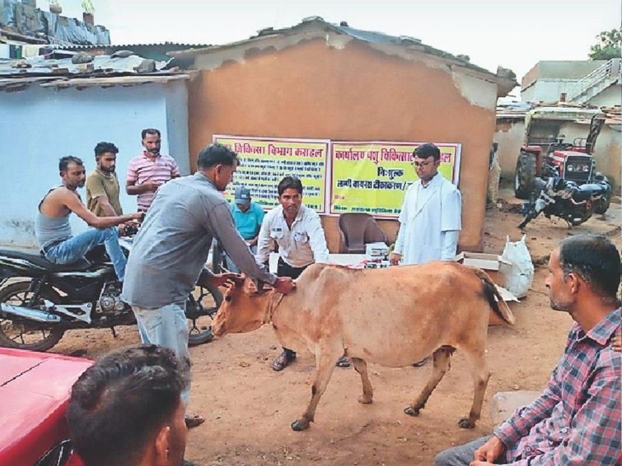 लंपी वायरस ने बढ़ाई राज्य सरकार की चिंता, चार दिनों में तीन हजार से अधिक मामले आए सामने