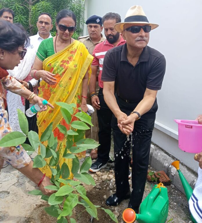 हरेला पर्व पर मुख्य सचिव ने अमलतास का पौधा रोपित किया