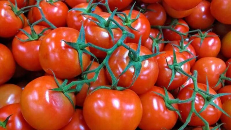 रसोई से मंडी तक हाहाकार: टमाटर-प्याज़-आलू पर मौसम की मार