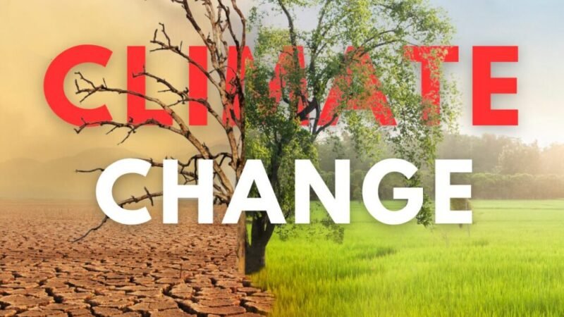 गर्मी अब सिर्फ़ मौसम नहीं, बीमारी बन गई है: लैंसेट रिपोर्ट की चेतावनी