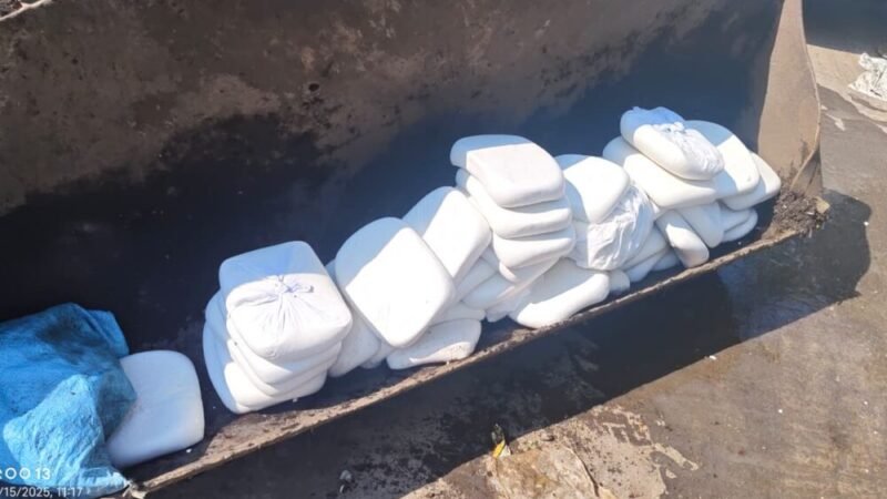 त्योहारी सीजन में मिलावटखोरों पर शिकंजा, धामी सरकार की सख्त कार्रवाई जारी, 180 किलो पनीर नष्ट, सैंपल जांच के लिए भेजे गए