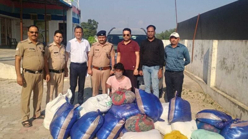 प्रदेशभर में मिलावटी खाद्य पदार्थों के खिलाफ अभियान लगातार जारी