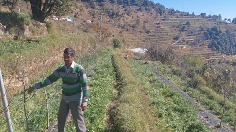 चोपडियालगांव के खुशीराम डबराल: पहाड़ की मिट्टी से आत्मनिर्भरता की मिसाल