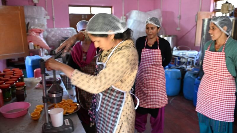 मक्कूमठ में महिला सशक्तिकरण की नई कहानी, ग्रोथ सेंटर से बदली आजीविका