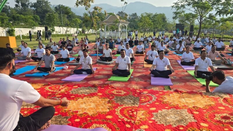 सिटी फॉरेस्ट पार्क में योग दिवस पर उमड़ा जनसैलाब…